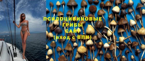 соль курить ск Богородицк
