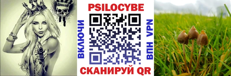 маркетплейс какой сайт  Горняк  Псилоцибиновые грибы ЛСД  наркотики 